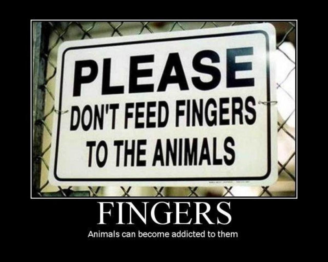 [28/08/2009] Demotivational-Poster: Superlustige Parodie auf die Motivational-Poster aus den Neunzigern - Achtung: Lachgarantie! (100)