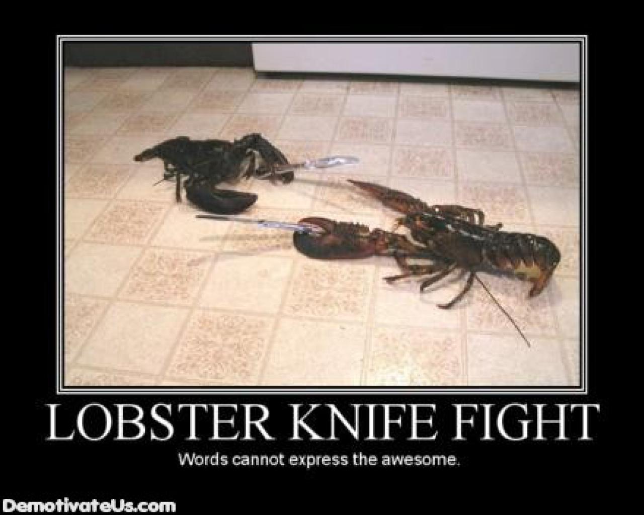 [28/08/2009] Demotivational-Poster: Superlustige Parodie auf die Motivational-Poster aus den Neunzigern - Achtung: Lachgarantie! (93)