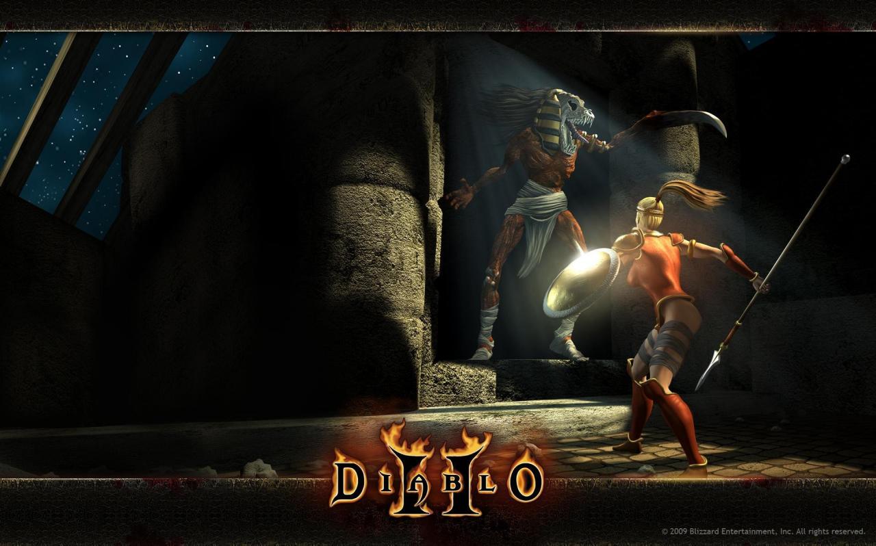 [26/11/2009] Platz 8: Diablo II