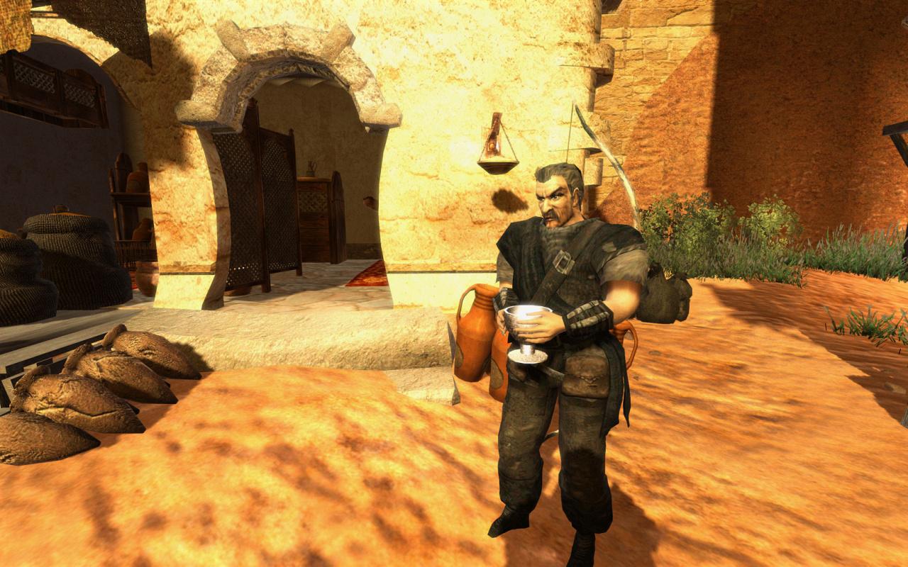 [24/09/2010] In Gothic als Diego spielen, das wäre toll! Die Vorteile liegen auf der Hand: Ihr könntet sofort zu Gomez gehen und hättet ein eigenes Haus. Außerdem wärt ihr ein guter Bogenschütze.