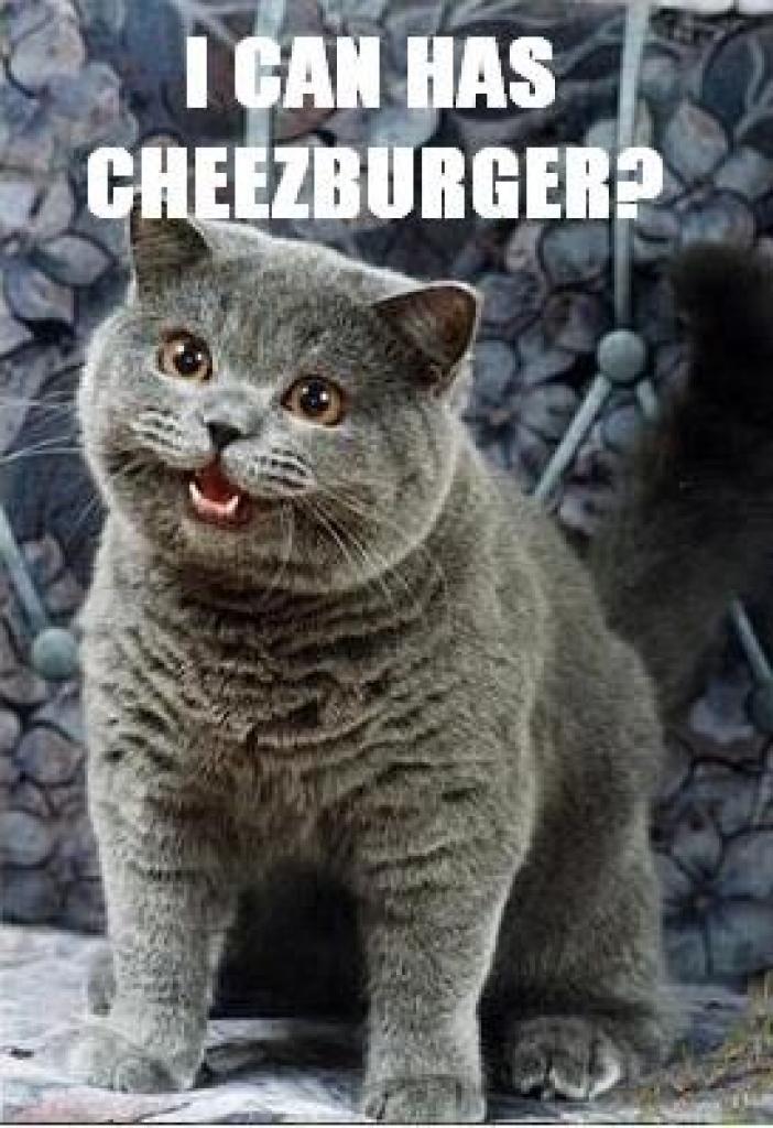 [22/10/2010] Das erste Bild einer lolcat, das 2007 den Startschuss für icanhascheezburger.com legte.
