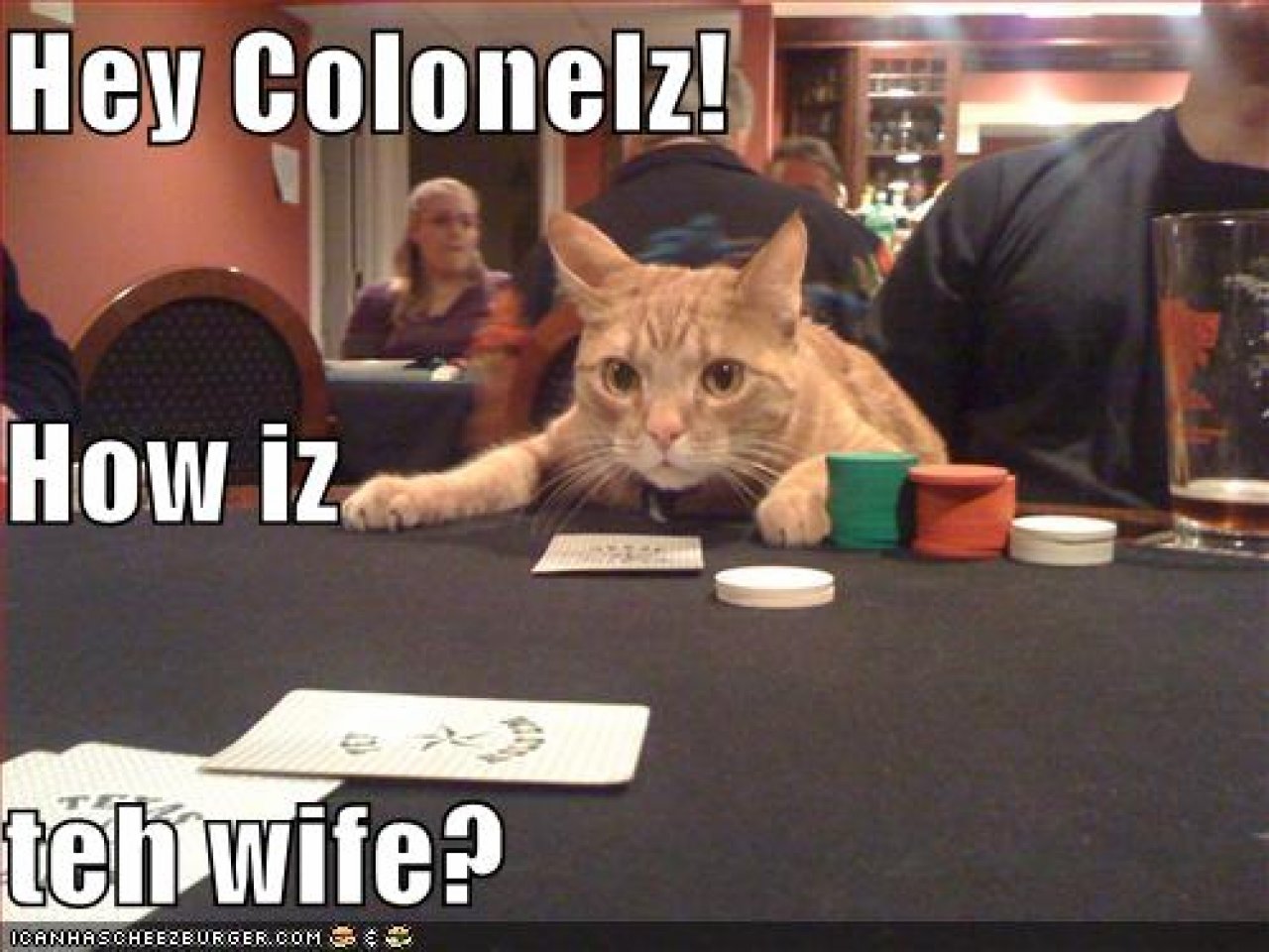 [22/10/2010] Lolcats sind ein echtes Internetphänomen: Obwohl es schon über hundert Jahre witzige Bilder mit Katzen gibt, ging der Boom erst 2007 so richtig los. Mittlerweile gehört icanhascheezburger.com, Ursprungsort der lolcats, zu den erfolgreichsten Seiten weltweit. (11)