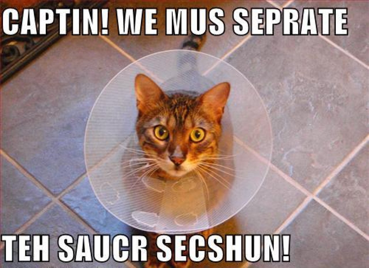 [22/10/2010] Lolcats sind ein echtes Internetphänomen: Obwohl es schon über hundert Jahre witzige Bilder mit Katzen gibt, ging der Boom erst 2007 so richtig los. Mittlerweile gehört icanhascheezburger.com, Ursprungsort der lolcats, zu den erfolgreichsten Seiten weltweit. (13)