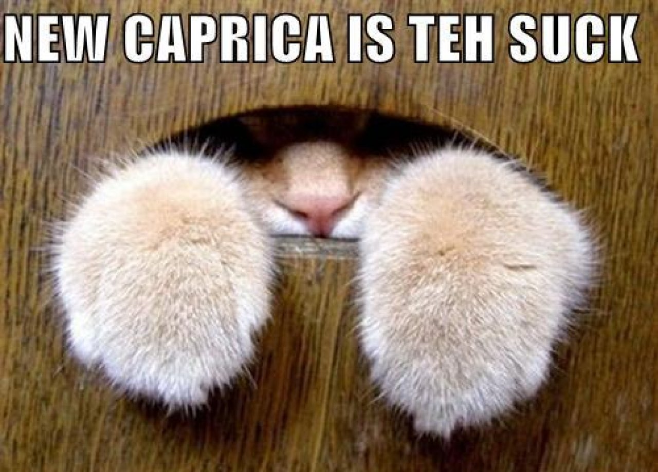 [22/10/2010] Lolcats sind ein echtes Internetphänomen: Obwohl es schon über hundert Jahre witzige Bilder mit Katzen gibt, ging der Boom erst 2007 so richtig los. Mittlerweile gehört icanhascheezburger.com, Ursprungsort der lolcats, zu den erfolgreichsten Seiten weltweit. (15)