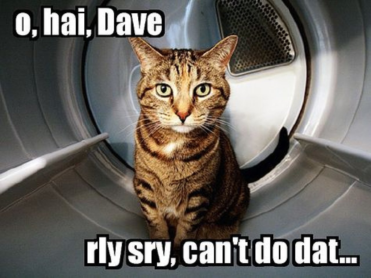 [22/10/2010] Lolcats sind ein echtes Internetphänomen: Obwohl es schon über hundert Jahre witzige Bilder mit Katzen gibt, ging der Boom erst 2007 so richtig los. Mittlerweile gehört icanhascheezburger.com, Ursprungsort der lolcats, zu den erfolgreichsten Seiten weltweit. (16)