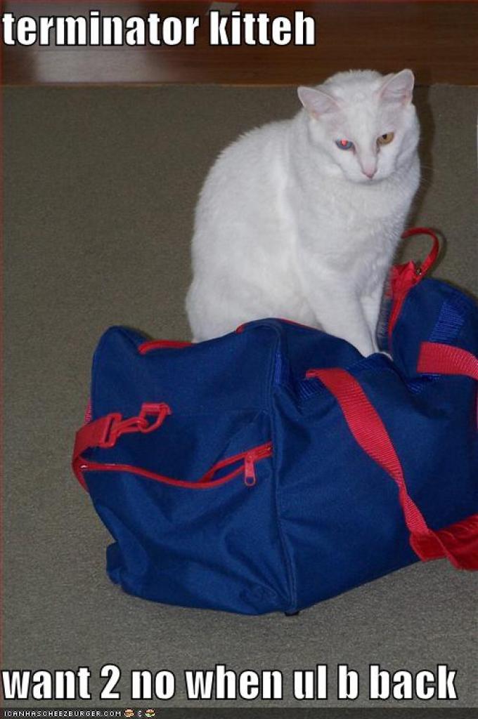 [22/10/2010] Lolcats sind ein echtes Internetphänomen: Obwohl es schon über hundert Jahre witzige Bilder mit Katzen gibt, ging der Boom erst 2007 so richtig los. Mittlerweile gehört icanhascheezburger.com, Ursprungsort der lolcats, zu den erfolgreichsten Seiten weltweit. (19)