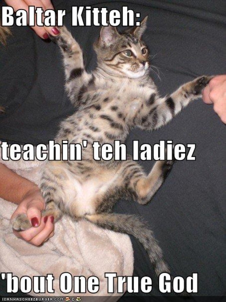 [22/10/2010] Lolcats sind ein echtes Internetphänomen: Obwohl es schon über hundert Jahre witzige Bilder mit Katzen gibt, ging der Boom erst 2007 so richtig los. Mittlerweile gehört icanhascheezburger.com, Ursprungsort der lolcats, zu den erfolgreichsten Seiten weltweit. (6)