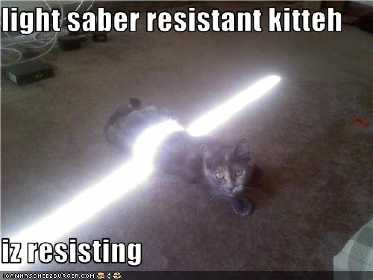 [22/10/2010] Lolcats sind ein echtes Internetphänomen: Obwohl es schon über hundert Jahre witzige Bilder mit Katzen gibt, ging der Boom erst 2007 so richtig los. Mittlerweile gehört icanhascheezburger.com, Ursprungsort der lolcats, zu den erfolgreichsten Seiten weltweit. (7)