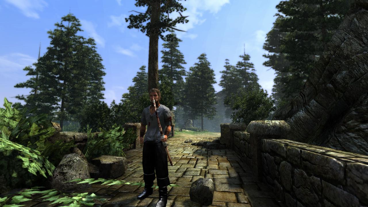 [10/11/2010] Screenshots aus der Test-Version von Two Worlds 2 (6)