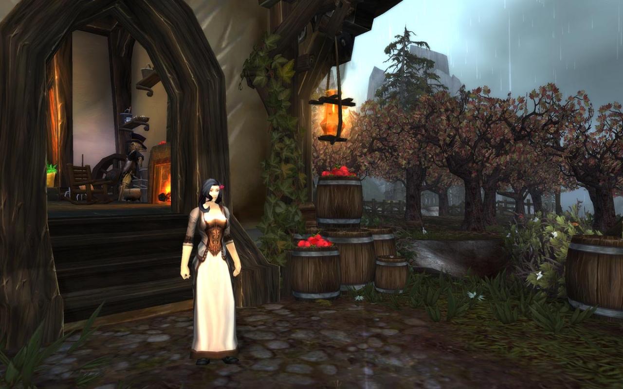 [03/11/2010] WoW Cataclysm: Nicht jeder ist von der neuen World of Warcraft-Erweiterung begeistert. (6)