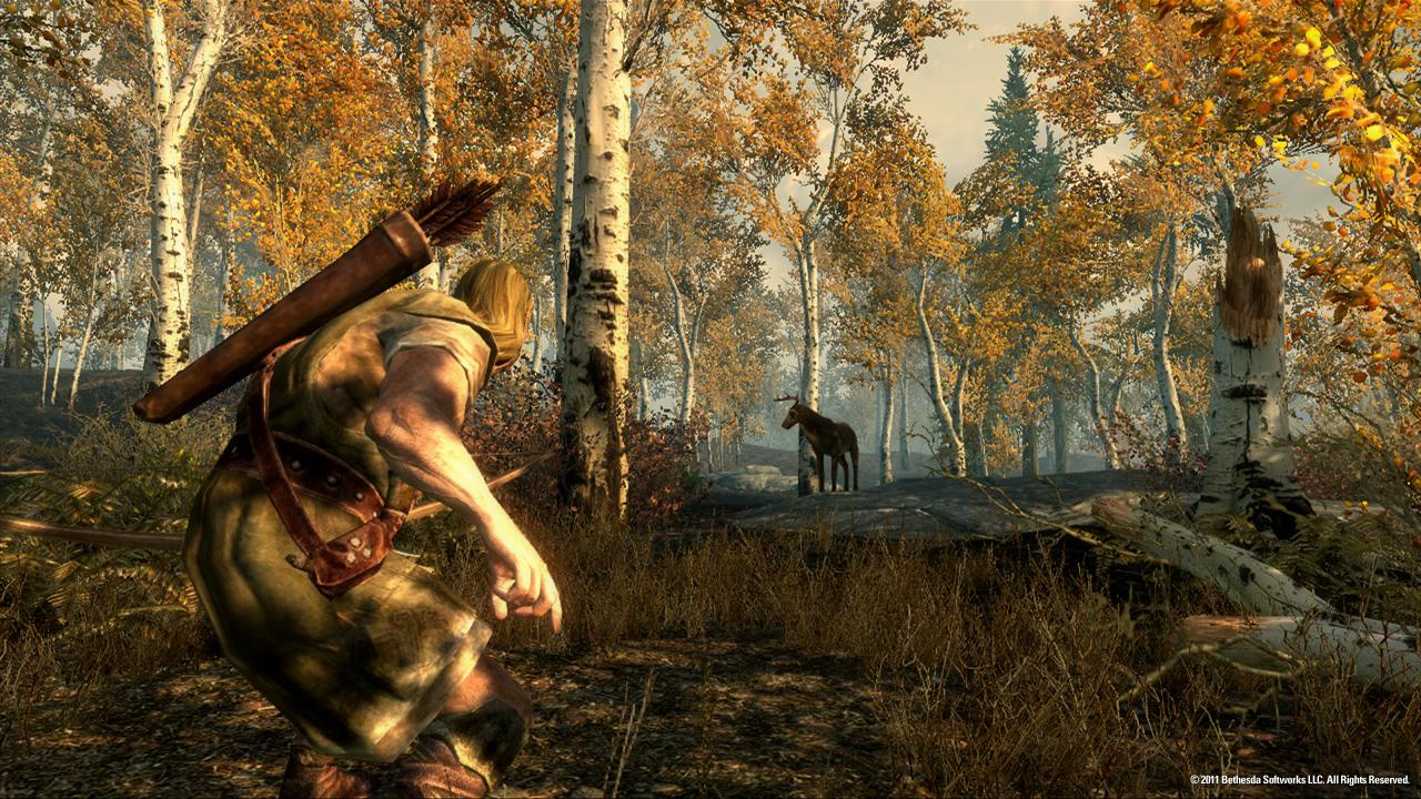 [11/02/2011] Die Spielwelt von The Elder Scrolls 5: Skyrim reicht von eisigen Berg-Gebieten bis hin zu dichtbewachsenen Wäldern.