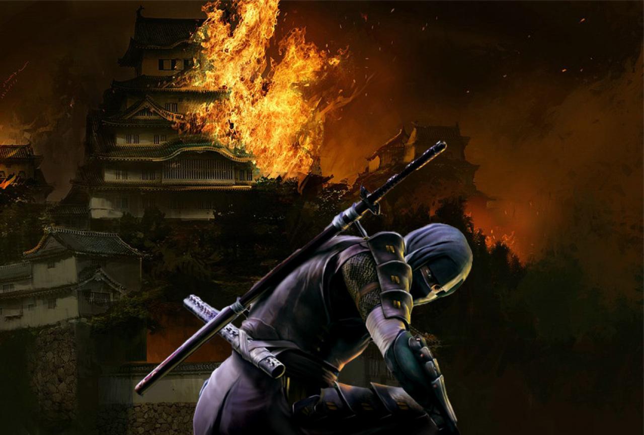 [03/02/2011] Eine coole Vorstellung: Als Ninja verübt der Spieler im feudalen Japan Sabotageakte.