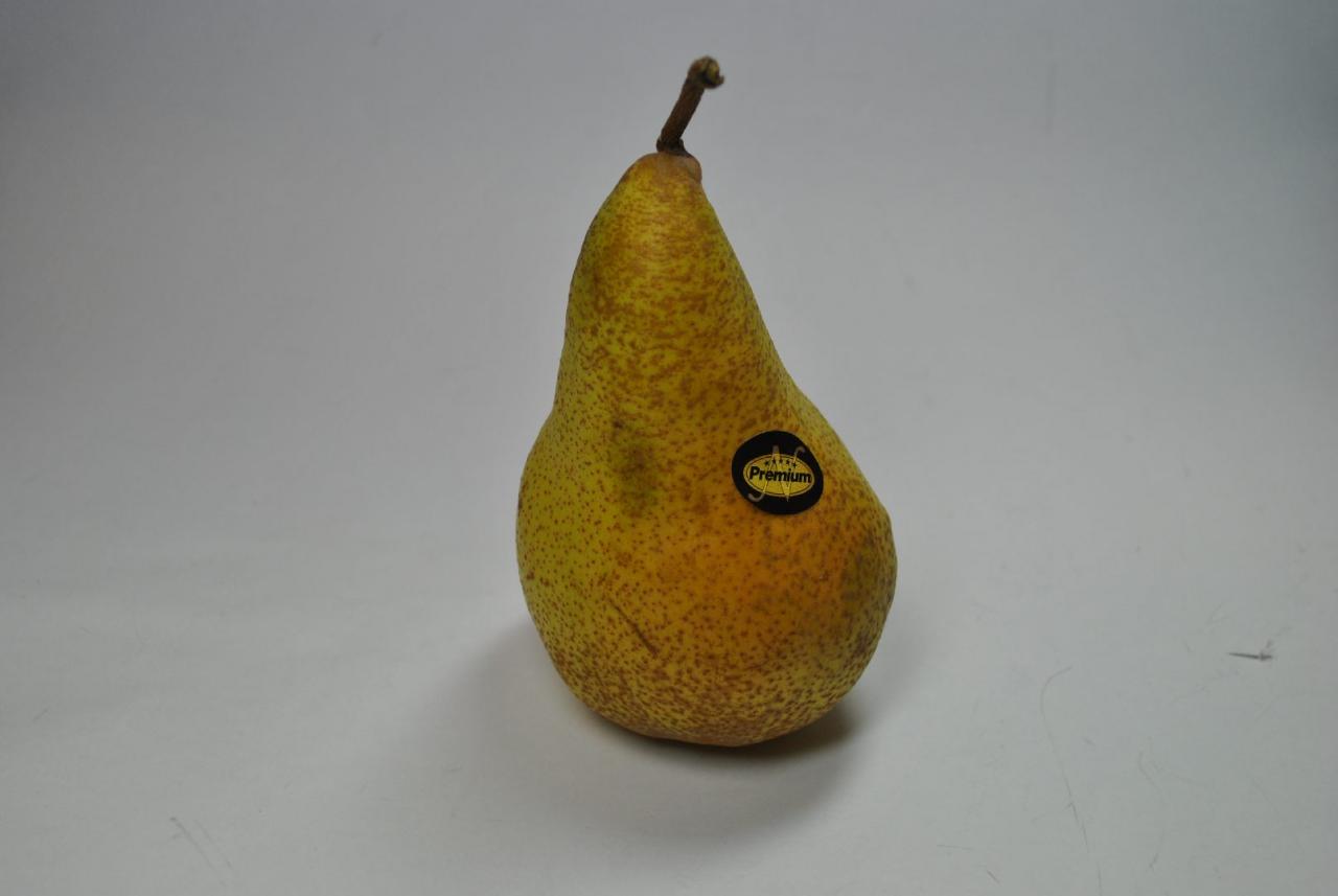[31/03/2011] Die aus Birne 6: Yogi Pear bekannte Grafik-Engine kann auch im siebten Ableger durch nicht vorhandenes Tearing punkten. Bildzerreisen sucht ihr hier vergebens.