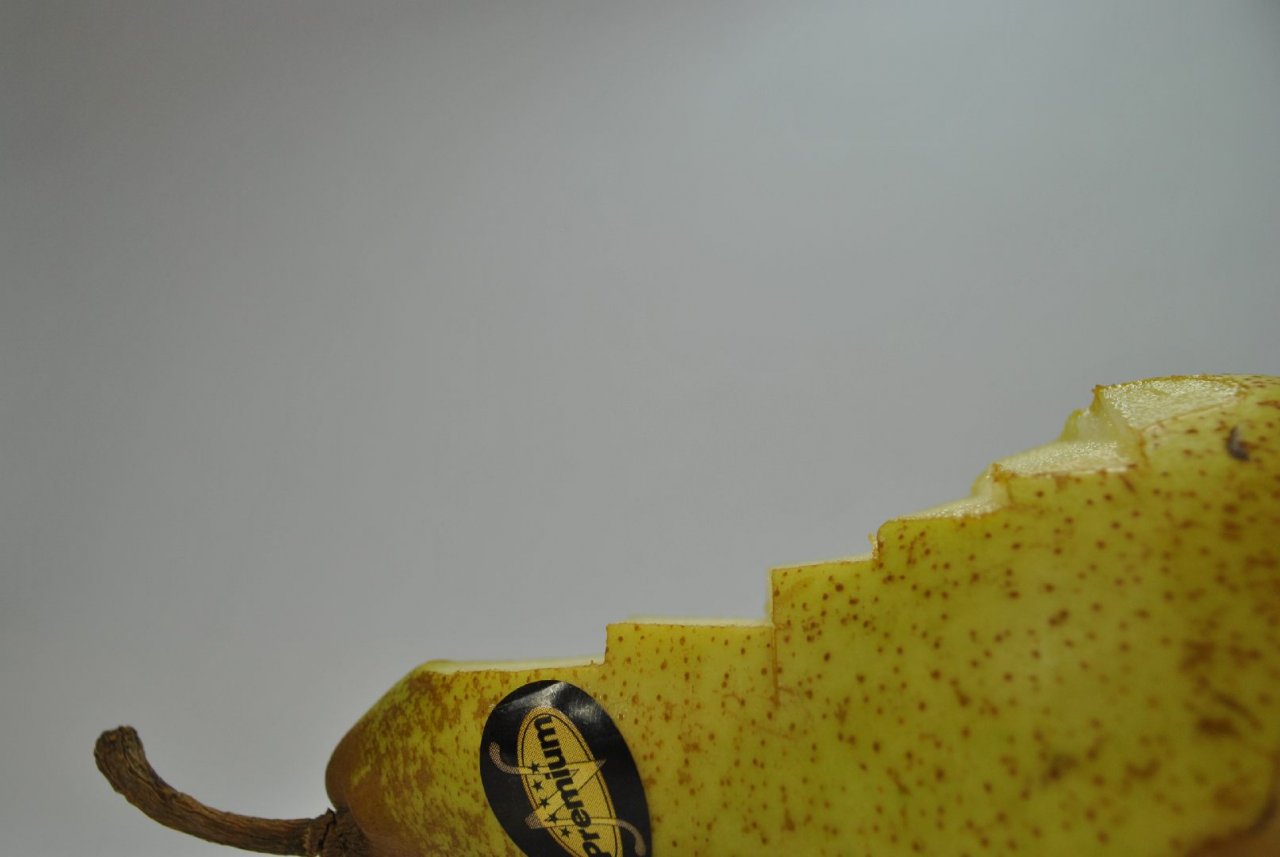 [31/03/2011] Doch in Birne 7: To Pear or not to Pear ist das Ergebnis desaströs! Treppeneffekte an allen Kanten! Erschreckend! Wir haben Birnosoft bereits um eine Nahrungsaufnahme gebeten, erhielten aber keine Antwort. 