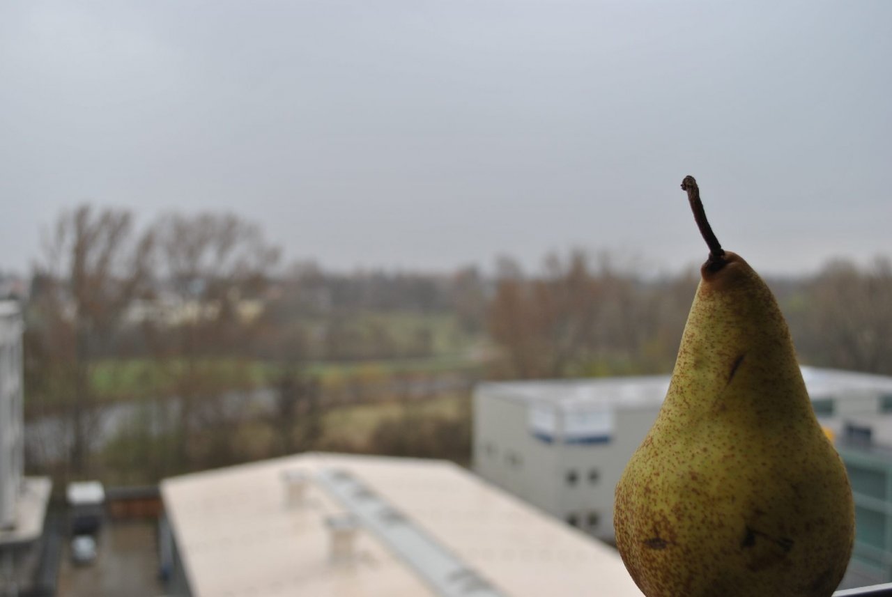[31/03/2011] Wenn man jedoch genau hinschaut, erkennt man bei der Birne mehr Details, auch in der Ferne. Birnosoft erkauft sich das aber mit einem kleinen Trick: Das FOV (Field of View) ist größer! Wir tippen hier auf einen Fov von 30.