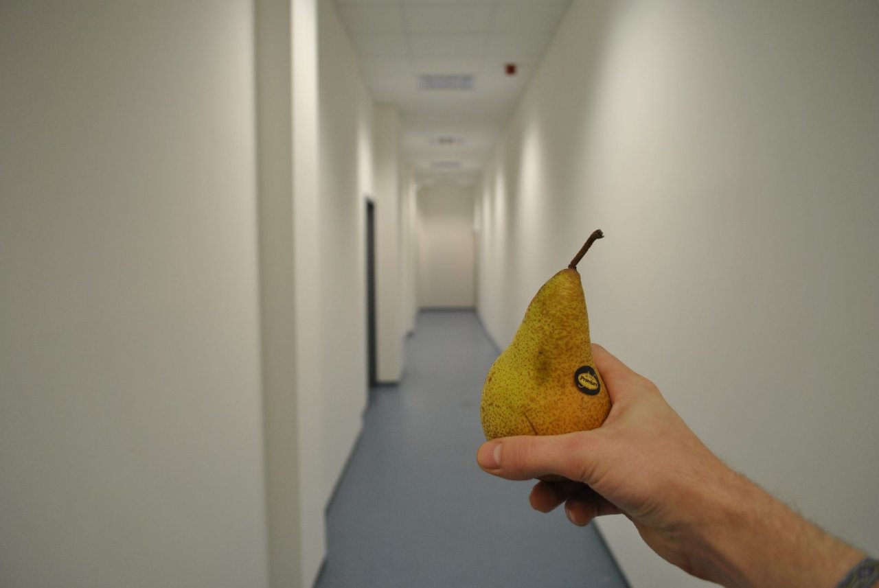 [31/03/2011] In Birne 7: Pear against the Wall hingegen läuft irgendetwas falsch: Statt auf den Hintergrund zu fokussieren, stellt die Fruit 3.0-Engine auf eure Hand scharf. Wir hoffen auf den ersten Patch, der auch Online-Essensschlachten ermöglichen soll.