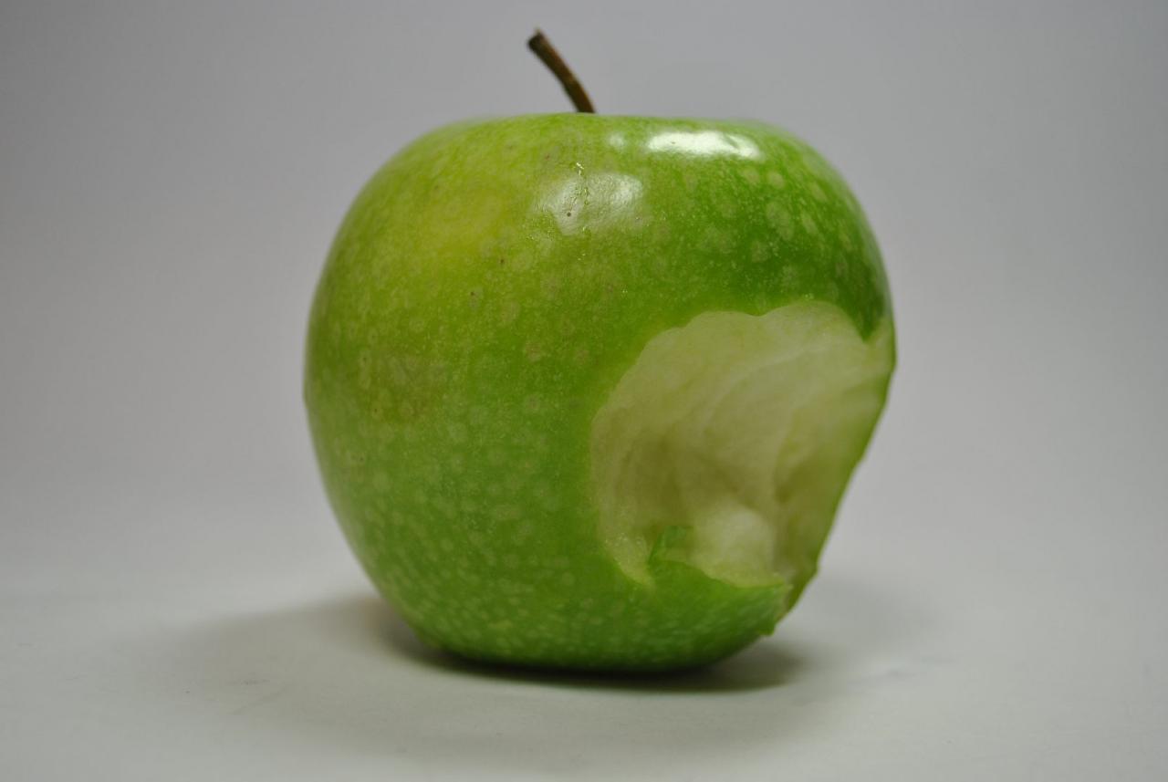 [31/03/2011] Beim Gewaltgrad schenken sich die beiden Kontrahenten hingegen nichts. Äußerst plastisch lassen sich ganze Stücke aus den Gegnern fetzen, selbst Bisse werden realistisch dargestellt.