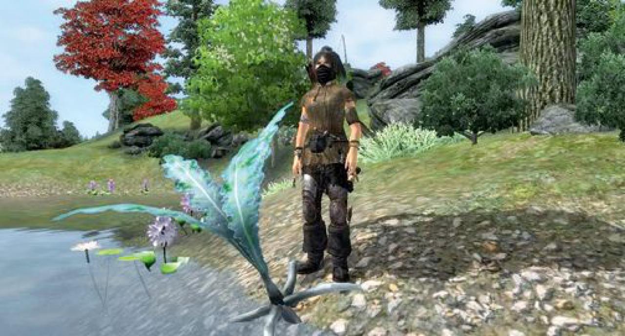 [28/04/2011] Platz 10: Die Nirnwurzeln aus Oblivion (Nirnroots) waren so spärlich gesät, dass ihr Finden eine wahre Freude war.Tipp: Immer entlang von Flussufern oder Teichen sind sie zu finden. Hier seht ihr übrigens eine gemoddete Version, die das Finden etwas erleichtert.