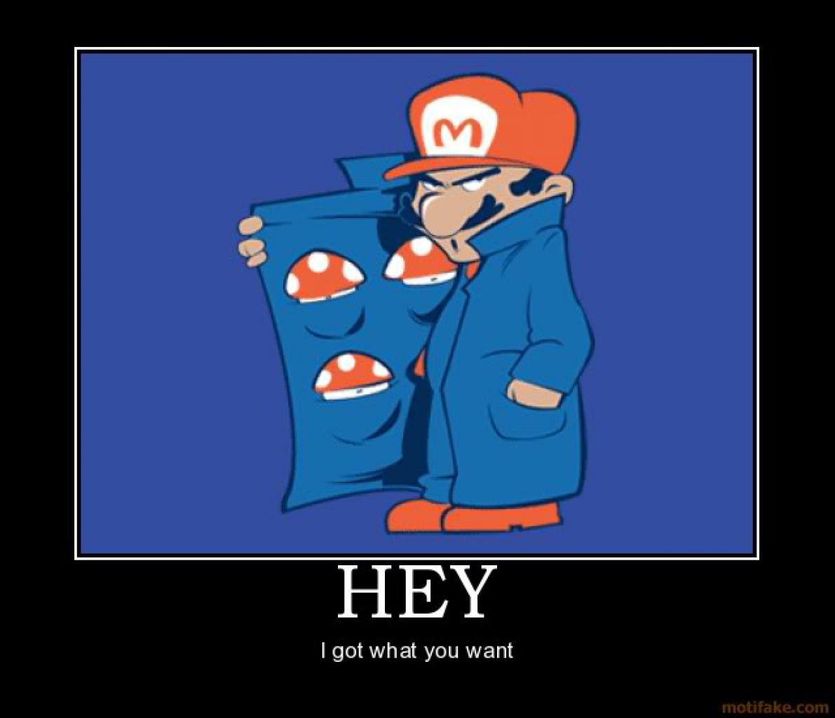 [25/07/2011] Demotivational Posters mit Gaming Bezug 3 