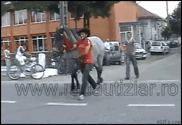 [08/07/2011] Hier findet ihr unsere Übersicht der lustigsten animierten gif-Bilder. Egal ob Fails, Wins oder einfach nur Klamauk, hier gibt's was zu lachen. (22)