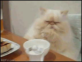 [08/07/2011] Hier findet ihr unsere Übersicht der lustigsten animierten gif-Bilder. Egal ob Fails, Wins oder einfach nur Klamauk, hier gibt's was zu lachen. (18)