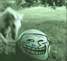 [08/07/2011] Hier findet ihr unsere Übersicht der lustigsten animierten gif-Bilder. Egal ob Fails, Wins oder einfach nur Klamauk, hier gibt's was zu lachen. (21)