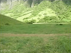 [08/07/2011] Hier findet ihr unsere Übersicht der lustigsten animierten gif-Bilder. Egal ob Fails, Wins oder einfach nur Klamauk, hier gibt's was zu lachen. (26)