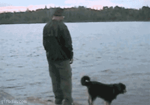 [08/07/2011] Hier findet ihr unsere Übersicht der lustigsten animierten gif-Bilder. Egal ob Fails, Wins oder einfach nur Klamauk, hier gibt's was zu lachen. (24)