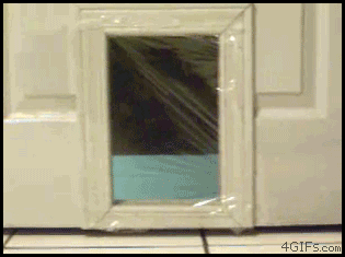 [24/08/2011] Hier findet ihr unsere Übersicht der lustigsten animierten gif-Bilder. Egal ob Fails, Wins oder einfach nur Klamauk, hier gibt's was zu lachen. (7)