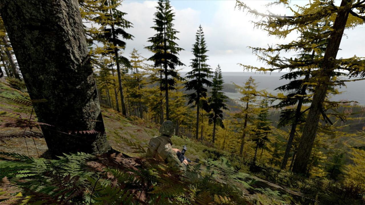 [12/10/2011] ArmA 2 - Die Militär-Simulation bietet stellenweise beinahe fotorealistische Grafik und eine enorme Weitsicht. Wer einen Berg hochkraxelt, kann ein Gebiet von mehreren Quadratkilometern Fläche überblicken. Angesichts dieser überwältigenden Aussicht kann man doch für einen kurzen Augenblick die Waffen ruhen lassen, oder?