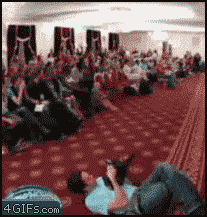 [12/12/2011] Stunt-Fails, lustige Katzen und Chuck Norris - Wir zeigen euch lustige gif-Bilder in unserem Update. (1)