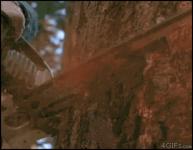 [12/12/2011] Stunt-Fails, lustige Katzen und Chuck Norris - Wir zeigen euch lustige gif-Bilder in unserem Update. (3)
