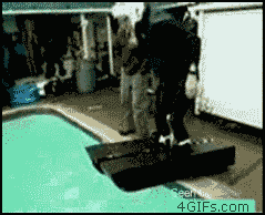 [12/12/2011] Stunt-Fails, lustige Katzen und Chuck Norris - Wir zeigen euch lustige gif-Bilder in unserem Update. (9)