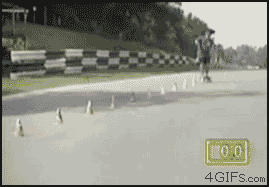 [12/12/2011] Stunt-Fails, lustige Katzen und Chuck Norris - Wir zeigen euch lustige gif-Bilder in unserem Update. (10)