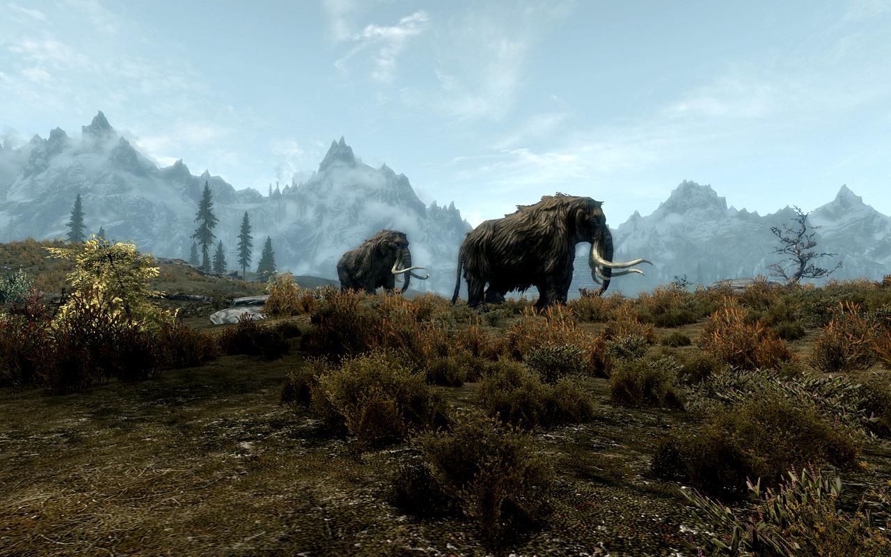 [22/12/2011] Rollenspiel des Jahres: Mit einer überwältigenden Mehrheit ist Skyrim (75,0%) das beliebteste Rollenspiel des Jahres. Das MMO Star Wars: The Old Republic (8,3%) und The Witcher 2 (7,1%) sehen dagegen blass aus.
