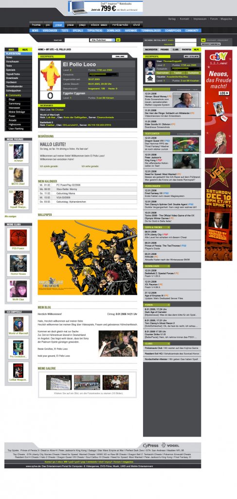 [06/12/2011] Cynamite 1.0 Design: das Design für die Profil-Hauptseite (