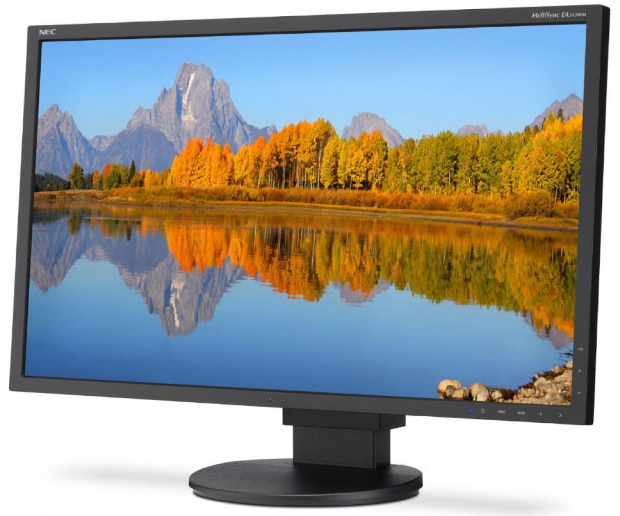 [04/01/2012] NEC EA243WM