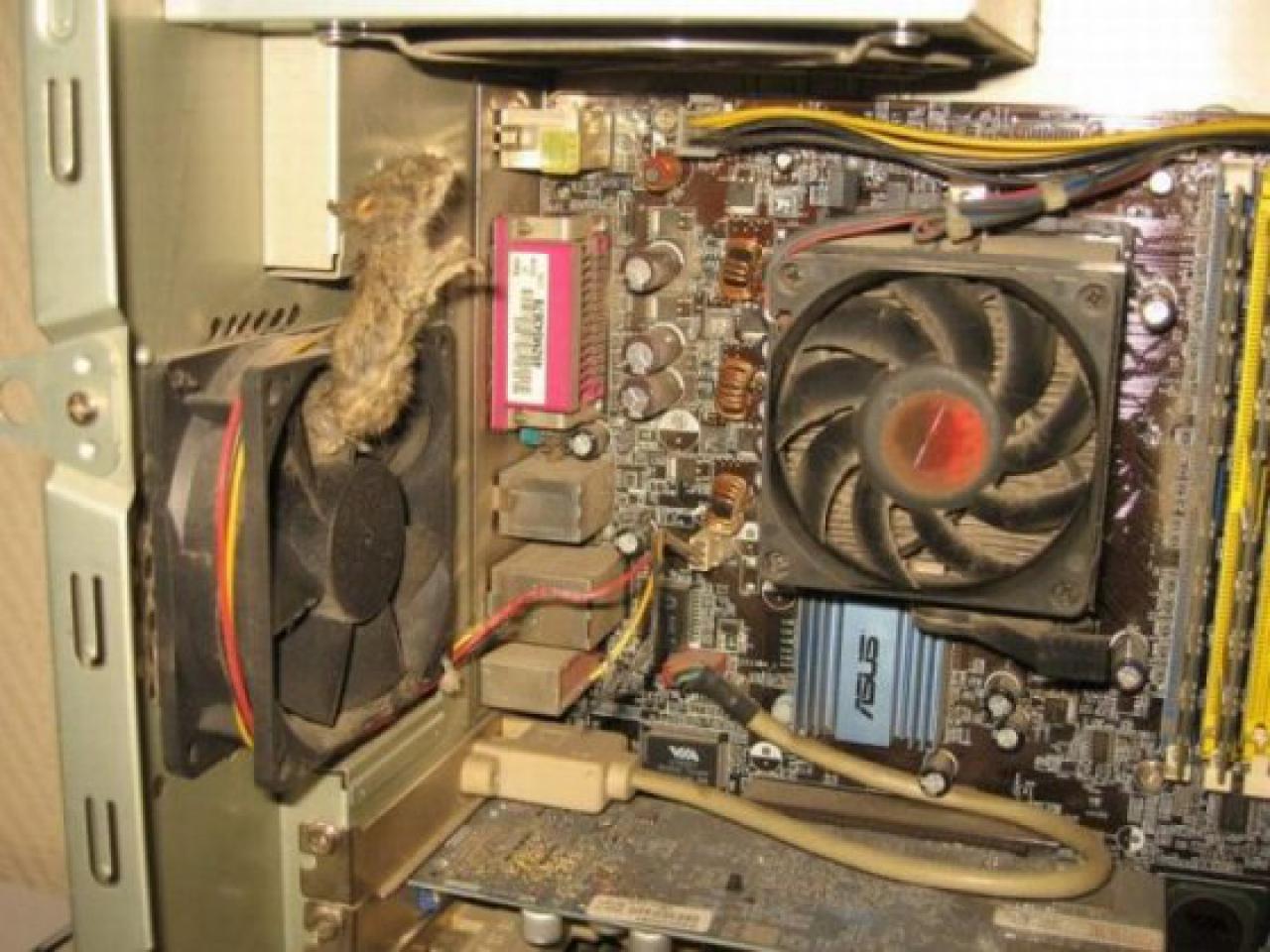 [09/01/2012] Defekte Hardware nach langer Session - Nach langen Zocker-Nächten können PCs oder Konsolen auch den Geist aufgeben. Legt also immer mal wieder eine Pause ein, falls eure Hardware bereits gelitten hat. - Community-Vorschlag