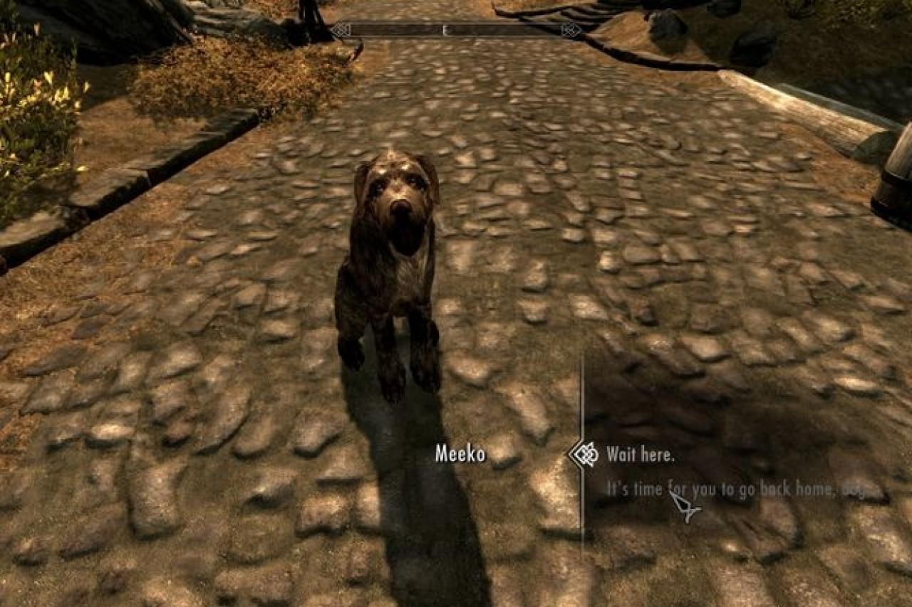 [08/03/2012] The Elder Scrolls 5: Skyrim mag zwar viele Hunde haben, von denen uns einige sogar hinterher laufen wollen, aber die Nummer 1 bleibt immer noch Barbas. Die Quest des sprechenden Hundes war aufregender als der eigentliche Konflikt im Spiel.