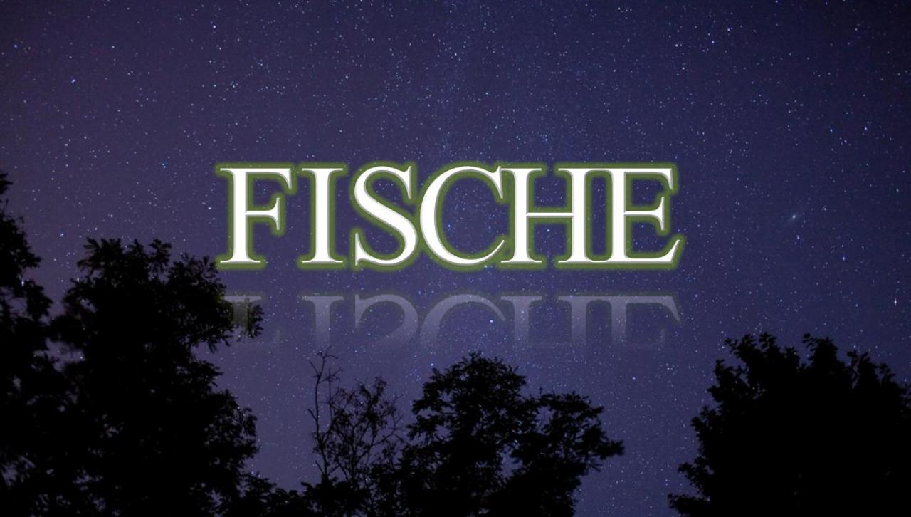 [22/05/2012] Fische ->