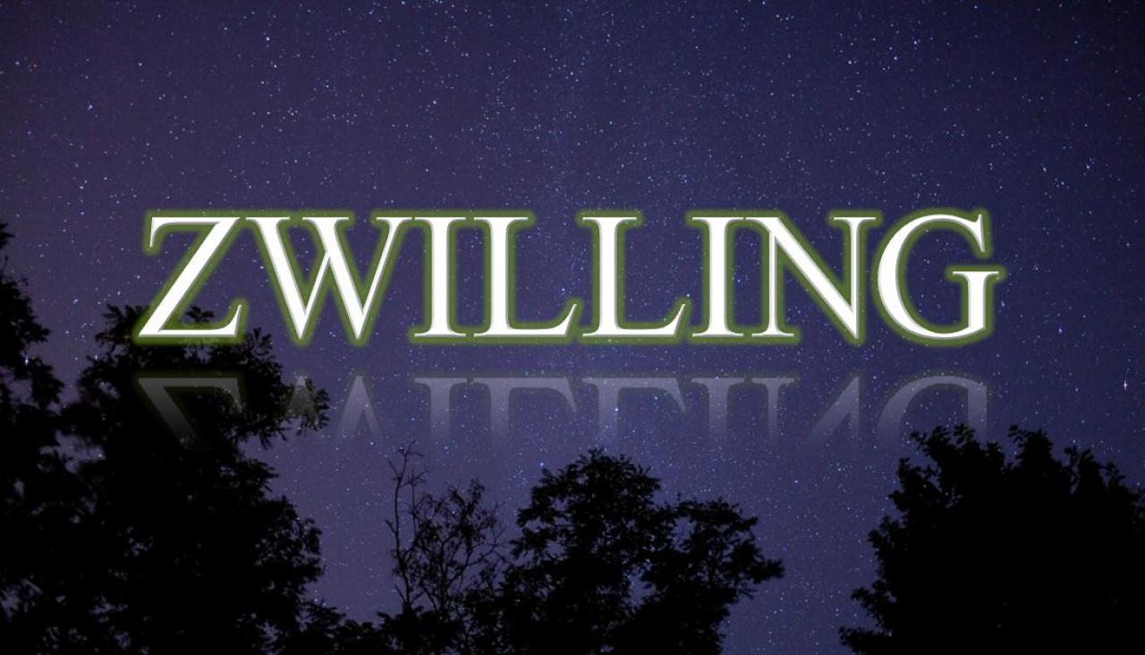 [22/05/2012] Zwilling ->