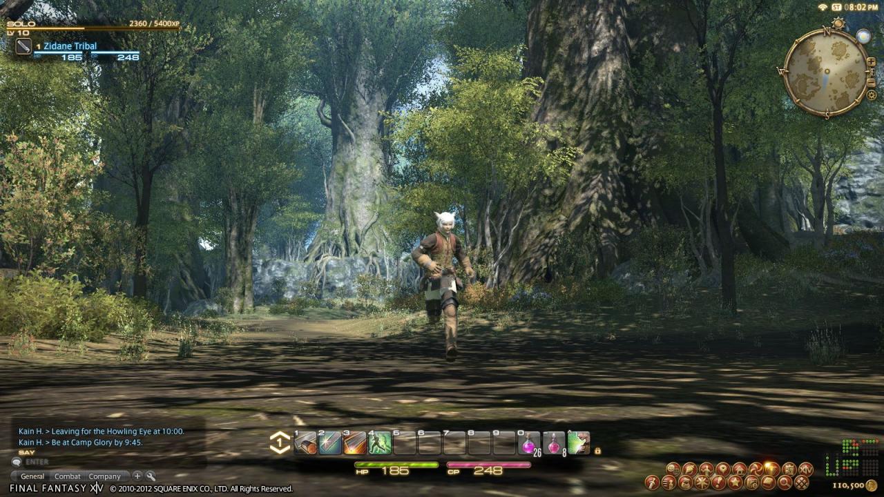 [08/06/2012] ...Playtime in Final Fantasy, wenn du diese Top-Anzeichen gar nicht liest, weil du lieber zockst.