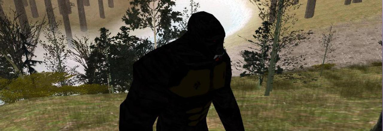 [06/06/2012] GTA San Andreas Nicht nur in Wirklichkeit, auch im Spiel San Andreas hielt sich das Gerücht von der Bigfoot-Existenz. Wir decken den Schwindel auf: Bigfoot gab es nur als Mod im Spiel, die man sich jederzeit auf den Rechner laden kann.