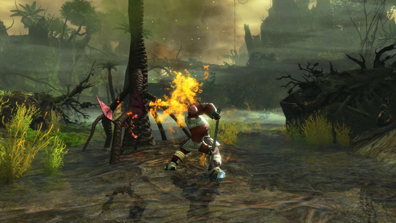 [25/08/2012] Der Guild Wars 2-Start war nicht reibungslos, dennoch funktionieren nahezu alle Bereiche des Spiels. (4)