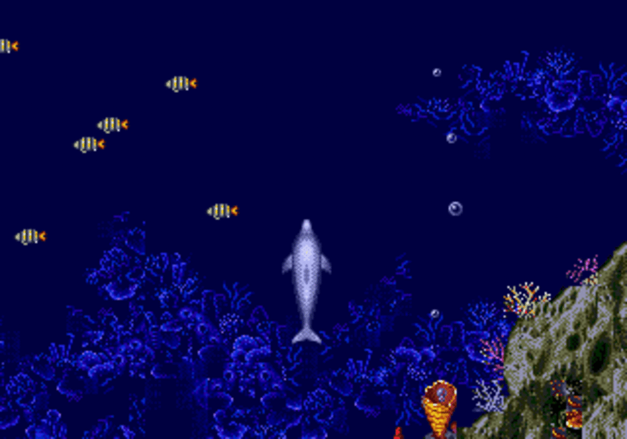 [03/09/2012] Den meisten Sega-Fans mag der Titel Ecco The Dolphin zwar etwas sagen, dennoch haben ihn nur die wenigsten gesehen. Angeblich hat Sega einen Deal mit einem Londoner Aquarium ausgehandelt, die einen echten Delfin namens Ecco beheimaten. Das Spiel bringt bis zu 1.300 US-Dollar ein, da Ecco The Dolphin nur in einer Handvoll Shops verkauft wurde.