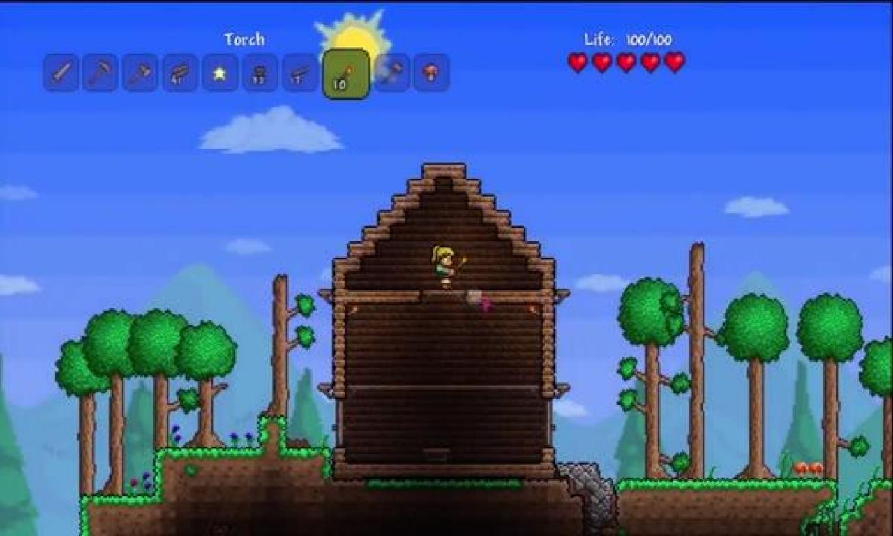 [04/10/2012] Terraria ist ein Abenteuer-Sandbox-Game, was allerdings auf die dritte Dimension verzichtet. Ein Grund mag darin bestehen, dass das Augenmerk der Entwickler weniger auf dem Bauen liegt, sondern mehr auf dem Erleben von Abenteuern und dem Bestreiten von Kämpfen. 