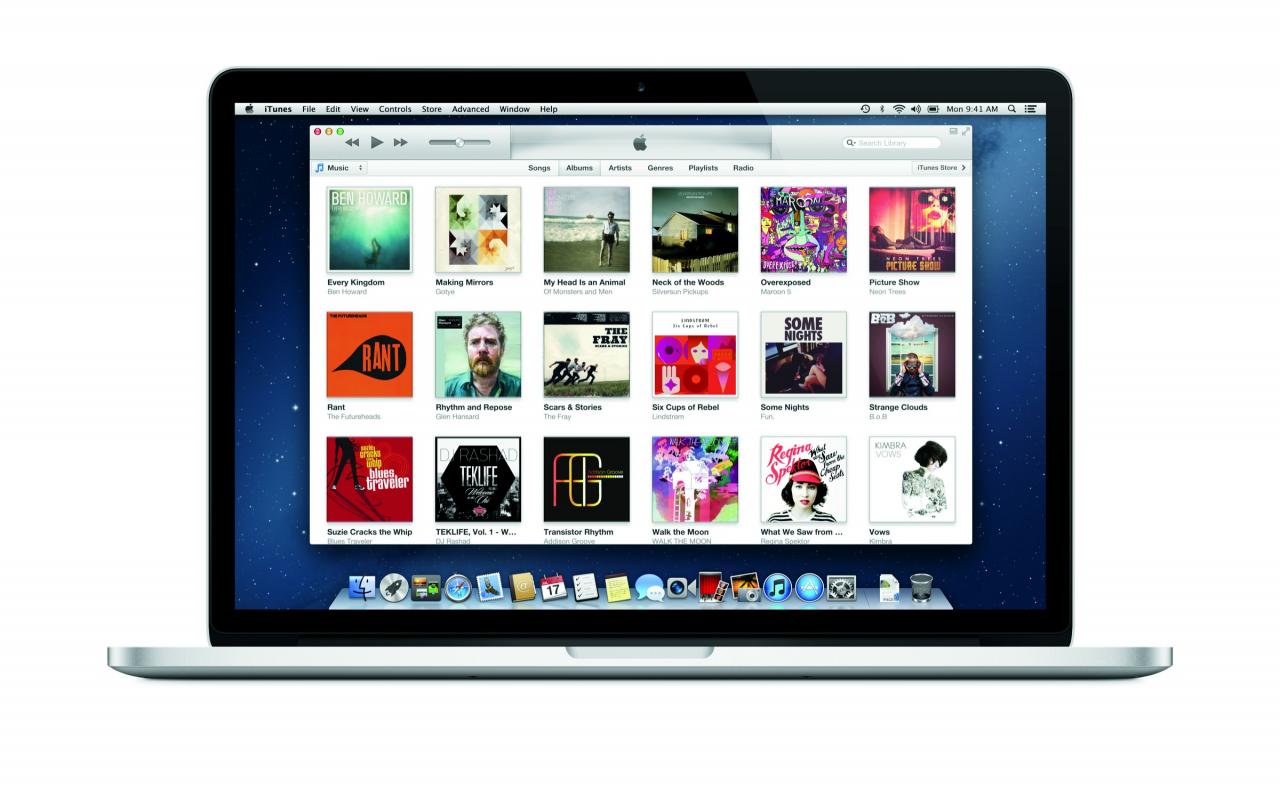 [30/11/2012] Apps, Programme und Spiele kann man nie genug haben! Und daher ist auch eine PSN-, iTunes- oder Xbox Live-Card immer gern gesehen. So kann sich jeder Spieler die Inhalte herunterladen, die er gerne nutzen möchte.