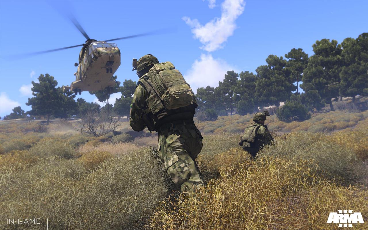 [27/05/2013] Arma 3 - Ego-Shooter (PC)