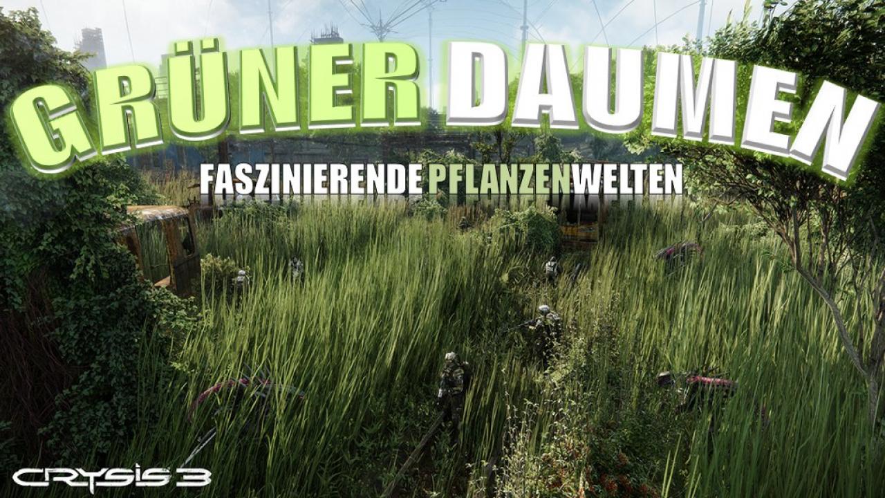[08/05/2013] Faszinierende Pflanzenwelten im heutigen Special.