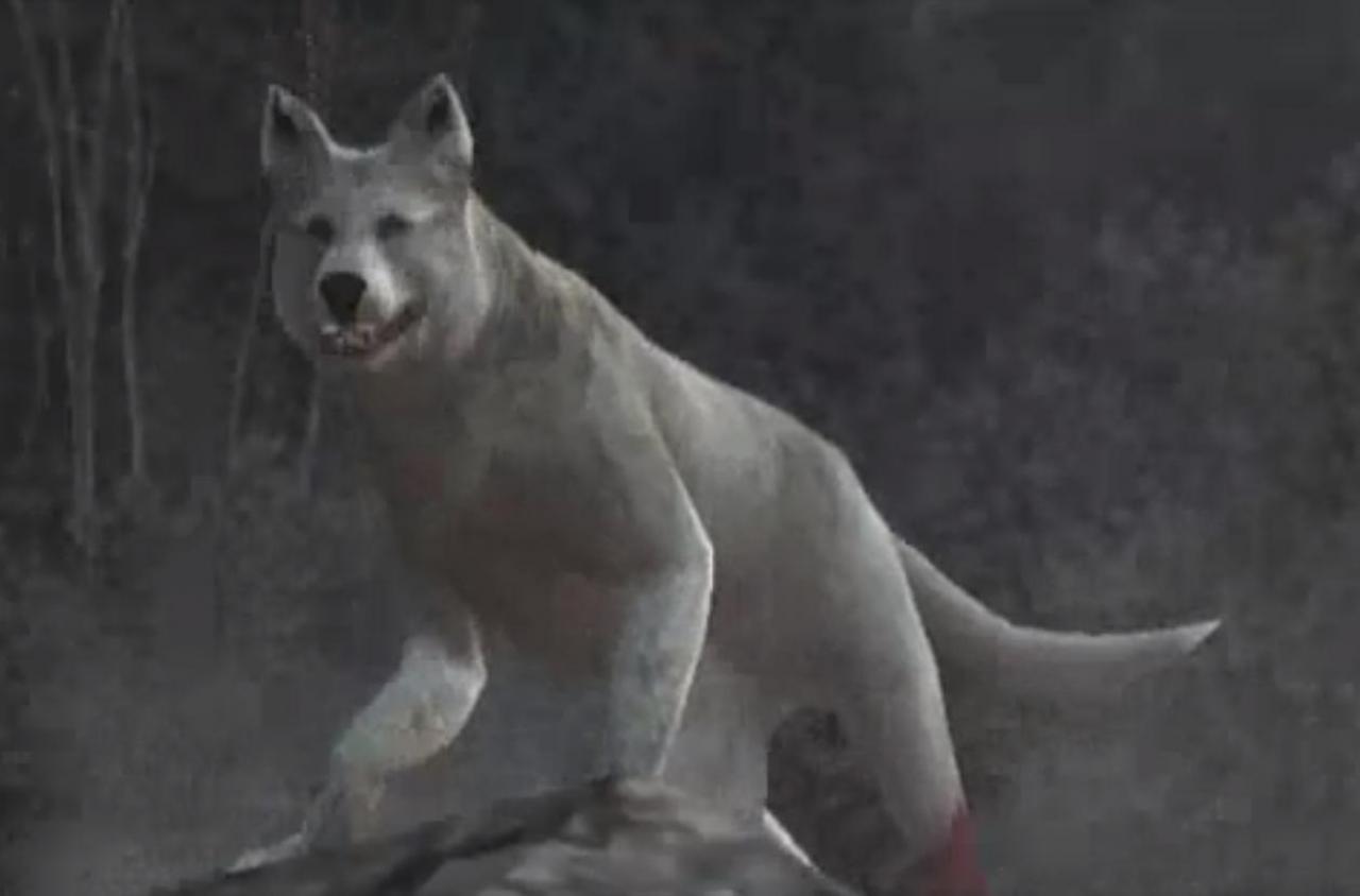 [27/05/2013] Resident Evil 4 wurde dank einem kleinen Mädchen zu einer nervigen Escort-Mission. Hätte Leon doch nur mehr Zeit mit dem hilfreichen weißen Wolf verbracht, anstatt irgendwelchen Kindern hinterherzulaufen.